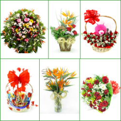 FLORICULTURAS Mário Campos, cestas de café da manhã e coroas de flores